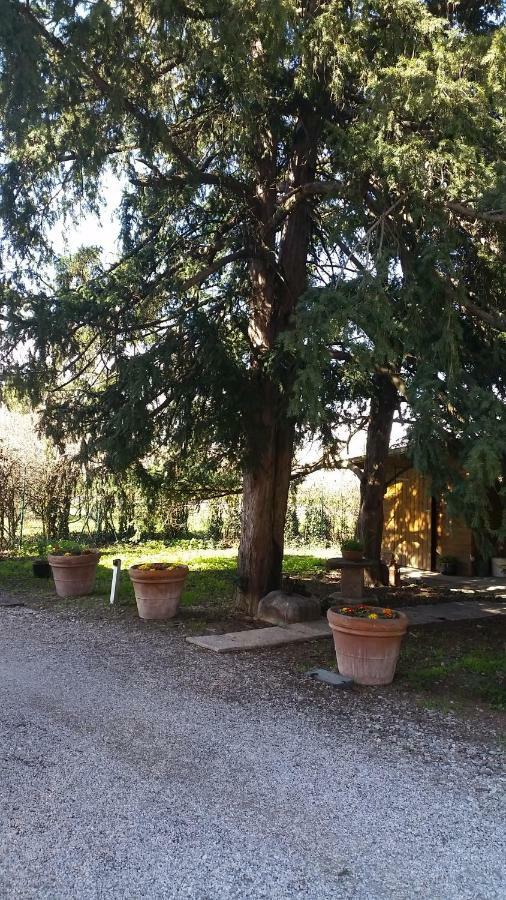 Al Cancello Bed & Breakfast Modena Bagian luar foto